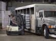 Crown Forklift in the Warehouse